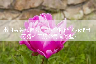 出国劳务派遣公司排名?内能够办理出国劳务的正规公司有哪些?