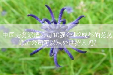 中国劳务派遣公司10强企业?成都的劳务派遣公司可以从外地招人吗?