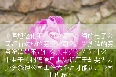 上海旭亿化工有限公司？上海的电子公司都有对应的劳资公司么？？所谓的劳务派遣是不是什么黑中介呢？为什么一个电子的招聘信息上是新厂子却要先去劳务派遣公司工作六个月才能进厂公司上班呢？