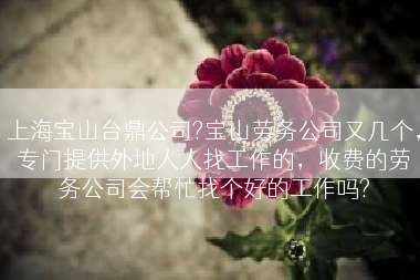 上海宝山台鼎公司?宝山劳务公司又几个，专门提供外地人人找工作的，收费的劳务公司会帮忙找个好的工作吗?