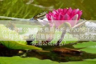 劳务派遣公司成本费用分析表?2016年全国劳务派遣公司最新排名,西南地区劳务派遣公司排名?
