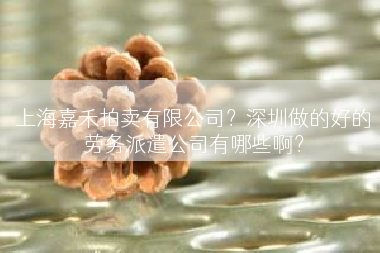 上海嘉禾拍卖有限公司？深圳做的好的劳务派遣公司有哪些啊？
