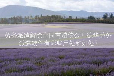 劳务派遣解除合同有赔偿么？德华劳务派遣软件有哪些用处和好处？