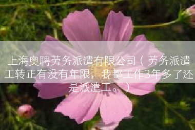 上海奥聘劳务派遣有限公司（劳务派遣工转正有没有年限，我都工作3年多了还是派遣工。）