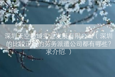 深圳天空领域实业发展有限公司（深圳的比较正规的劳务派遣公司都有哪些？求介绍.）