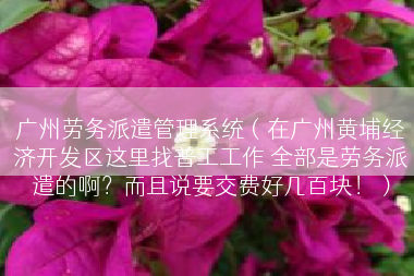 广州劳务派遣管理系统（在广州黄埔经济开发区这里找普工工作 全部是劳务派遣的啊？而且说要交费好几百块！）