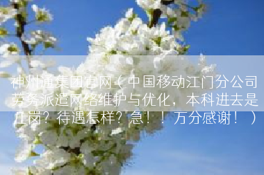 神州通集团官网（中国移动江门分公司劳务派遣网络维护与优化，本科进去是几岗？待遇怎样？急！！万分感谢！）