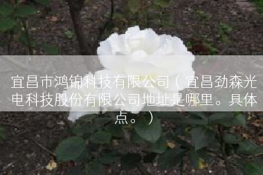 宜昌市鸿锦科技有限公司（宜昌劲森光电科技股份有限公司地址是哪里。具体点。）