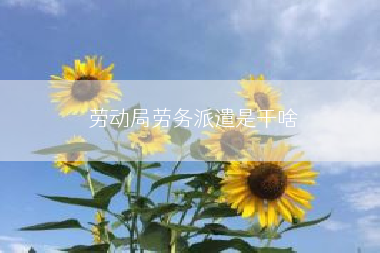 劳动局劳务派遣是干啥
