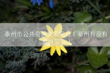 泰州市公共资源交易平台（泰州有没有麦当劳？）