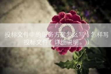 投标文件中的服务方案怎么写（怎样写投标文件？详细说明。）