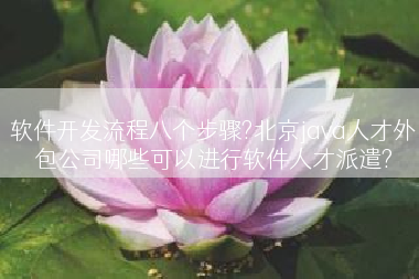 软件开发流程八个步骤?北京java人才外包公司哪些可以进行软件人才派遣?