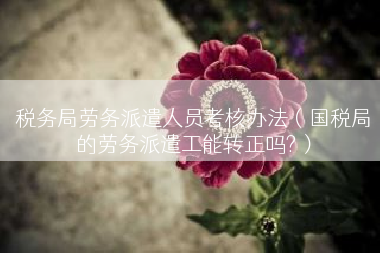 税务局劳务派遣人员考核办法（国税局的劳务派遣工能转正吗?）