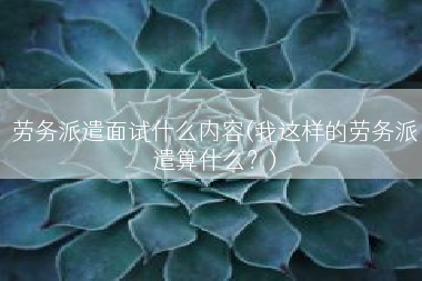 劳务派遣面试什么内容(我这样的劳务派遣算什么？)
