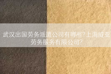 武汉出国劳务派遣公司有哪些?上海威亚劳务服务有限公司?