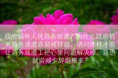 政府编外人员劳务派遣？为什么政府机关劳务派遣容易被辞退，请问咋样才能让劳务派遣工把心里问题解决掉，意思就说减少辞退概率？