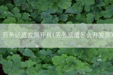 劳务派遣发票开具(劳务派遣怎么开发票)