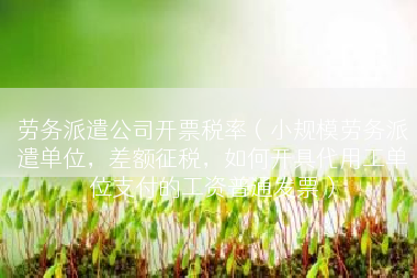 劳务派遣公司开票税率（小规模劳务派遣单位，差额征税，如何开具代用工单位支付的工资普通发票）