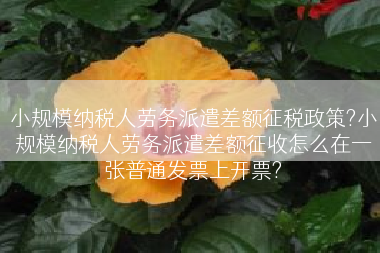 小规模纳税人劳务派遣差额征税政策?小规模纳税人劳务派遣差额征收怎么在一张普通发票上开票?