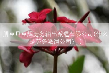册亨县亨辉劳务输出派遣有限公司(什么是劳务派遣公司？.)