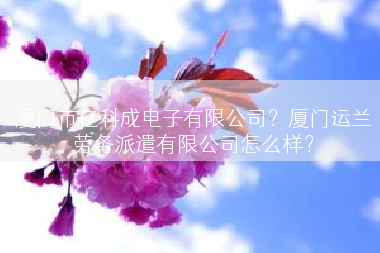 厦门市亿科成电子有限公司？厦门运兰劳务派遣有限公司怎么样？