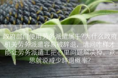 政府部门使用劳务派遣属于?为什么政府机关劳务派遣容易被辞退，请问咋样才能让劳务派遣工把心里问题解决掉，意思就说减少辞退概率?