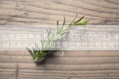 云南省劳务派遣条例（《劳动合同法》中对劳务派遣中的用工单位有什么规定呢？）