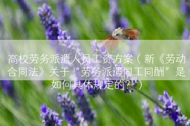 高校劳务派遣人员工资方案（新《劳动合同法》关于“劳务派遣同工同酬”是如何具体规定的？）