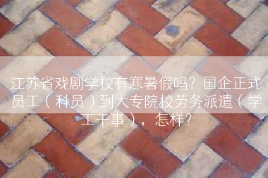 江苏省戏剧学校有寒暑假吗？国企正式员工（科员）到大专院校劳务派遣（学工干事），怎样？