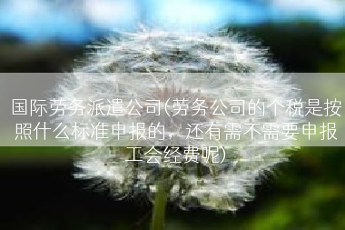 国际劳务派遣公司(劳务公司的个税是按照什么标准申报的，还有需不需要申报工会经费呢)