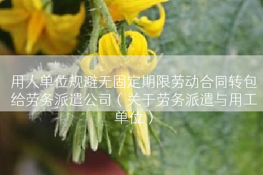 用人单位规避无固定期限劳动合同转包给劳务派遣公司（关于劳务派遣与用工单位）