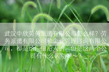 武汉中欣劳务派遣有限公司怎么样？劳务派遣有限公司和企业管理咨询有限公司，都是给厂里招人的，但是这两个公司有什么区别呢～？
