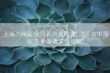 上海三甲医院劳务派遣待遇(江苏省中医院劳务派遣人员待遇)