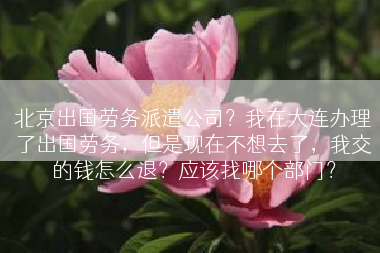 北京出国劳务派遣公司？我在大连办理了出国劳务，但是现在不想去了，我交的钱怎么退？应该找哪个部门？