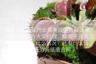 莆田市城厢区兴业劳务派遣有限公司（应聘兴业银行大堂经理，让我先去实习两星期，这是什么情况？还有什么情况才能签劳务派遣合同）