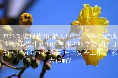 京津新城现状?国航天津分公司签派待遇怎么样 京津两地还有哪些航空公司比国航天津分公司待遇高 马上要签工作了 求大神解?