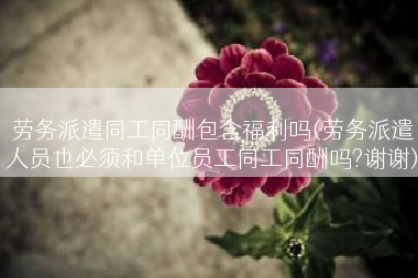 劳务派遣同工同酬包含福利吗(劳务派遣人员也必须和单位员工同工同酬吗?谢谢)