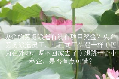 央企的劳务派遣有没有项目奖金？央企劳务派遣员工，与正式工待遇一样（因为在外地，调不回家去了）想跳一个小私企，是否有点可惜？
