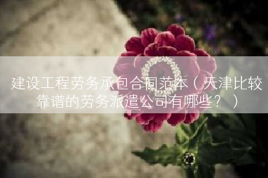 建设工程劳务承包合同范本（天津比较靠谱的劳务派遣公司有哪些？）