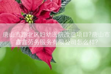 唐山市路北区妇幼医院改造项目?唐山市鑫鑫劳务服务有限公司怎么样?