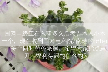 国网中级工在入职多久后考？本人小本一个，现在收到国网电科院/南瑞的offer，签合同时劳务派遣，希望大家给点意见，福利待遇的什么的？