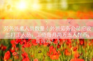 劳务派遣人员数量（外派劳务公司招波兰打工人员，工资每月两万五人民币，靠谱吗？）