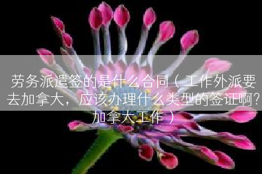 劳务派遣签的是什么合同（工作外派要去加拿大，应该办理什么类型的签证啊？加拿大工作）