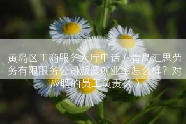 黄岛区工商服务大厅电话（青岛汇思劳务有限服务公司派遣就业率怎么样？对应聘的员工负责么）