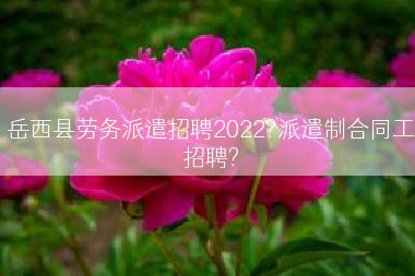 岳西县劳务派遣招聘2022?派遣制合同工招聘?