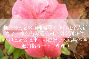 物流公司怎么运作流程（我们几个人新办了一家劳务派遣公司，刚拿到证件，不知道怎么运作，哪位好心人给具体详细的指导一下，谢谢）