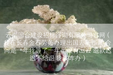 云南国合建设招标咨询有限公司官网（我在长春金石劳务办理出国去新西兰 合同是一年我等了一年半没有出去 退款迟迟不给退 我该咋办）