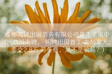 成都海聘出国劳务有限公司是不是黑中介(四川海聘， 招聘出国普工 去加拿大， 要交2.8万 劳务费，是不是骗局？)