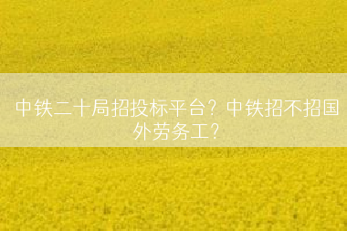 中铁二十局招投标平台？中铁招不招国外劳务工？