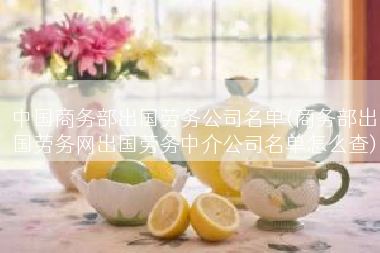 中国商务部出国劳务公司名单(商务部出国劳务网出国劳务中介公司名单怎么查)